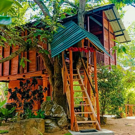 Sigiri Sky Home & Treehouse Сигирия Екстериор снимка